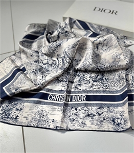 Платок DIOR 133748