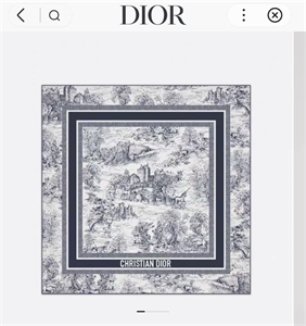 Платок DIOR 134622 - фото 233656