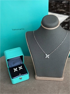 Серьги Tiffany&Co Серебро 925 п 138180 - фото 252661 Серьги Tiffany&Co Серебро 925 п 138180 - фото 252661