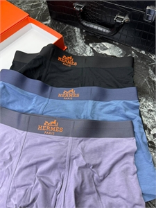 Нижнее бельё HERMES 138960 - фото 257224 Нижнее бельё HERMES 138960 - фото 257224