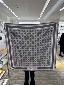 Платок DIOR 139262 - фото 258037