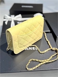 Сумка CHANEL 140021 - фото 262679