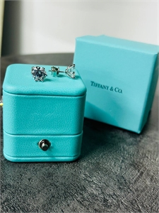 Серьги Tiffany&Co Серебро 925 п 1 см камень 146599 - фото 295801 Серьги Tiffany&Co Серебро 925 п 1 см камень 146599 - фото 295801
