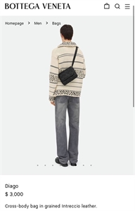 Сумка BV 148573 - фото 307277