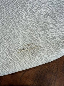 Сумка Schiaparelli 157838