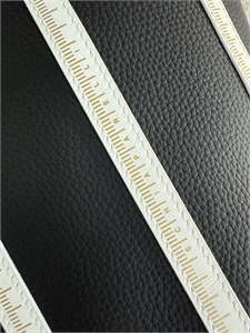 Сумка Schiaparelli 157839