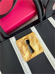 Сумка Schiaparelli 157839