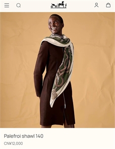 Платок HERMES 159659 - фото 369619 Платок HERMES 159659 - фото 369619