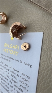 Серьги BVLGARI 160962 - фото 377478 Серьги BVLGARI 160962 - фото 377478