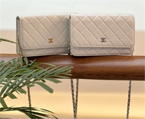 Сумка CHANEL 162143 - фото 384314