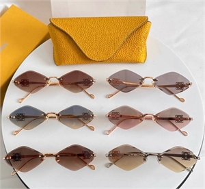 Очки LOEWE 162624