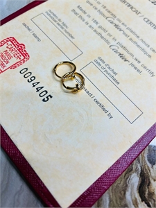 Серьги CARTIER 162834