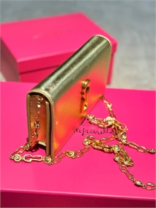 Сумка Schiaparelli 163578