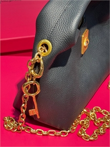 Сумка Schiaparelli 163580