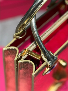 Сумка Schiaparelli 163589