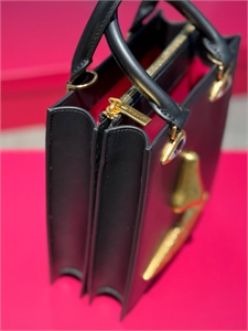 Сумка Schiaparelli 163590