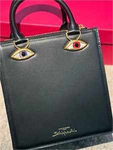 Сумка Schiaparelli 163590