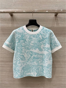 Кофта DIOR 163738