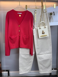 Сумка Schiaparelli 164438