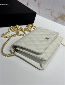 Сумка CHANEL 164634