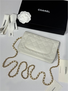 Сумка CHANEL 164634