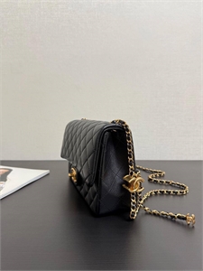 Сумка CHANEL 164856