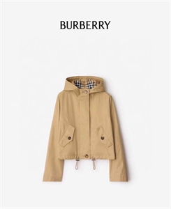 Ветровка BURBERRY 176011