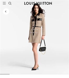Сумка LOUIS VUITTON 177712