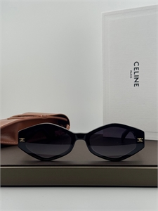 Очки CELINE 179008