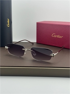 Очки CARTIER 179600
