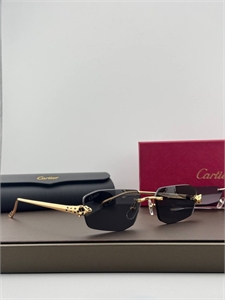 Очки CARTIER 180467