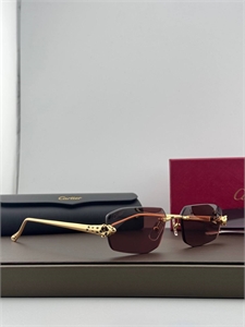 Очки CARTIER 180469