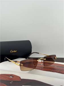 Очки CARTIER 183960