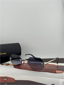 Очки CARTIER 184019