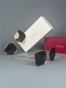 Очки Cartier 184048