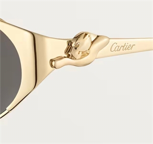 Очки CARTIER 184676