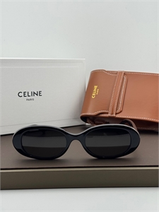 Очки CELINE 185073