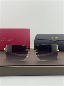 Очки CARTIER 185313