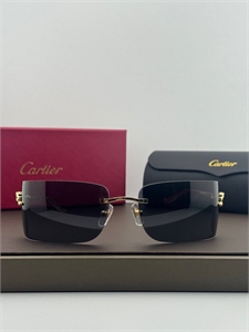 Очки CARTIER 185481