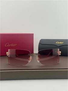 Очки CARTIER 185484