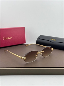 Очки CARTIER 185504