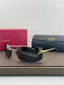 Очки CARTIER 185589