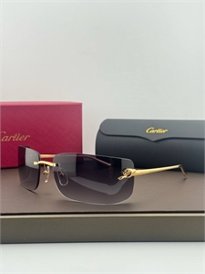 Очки CARTIER 185589