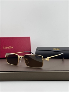 Очки CARTIER 186247