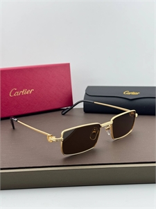 Очки CARTIER 186247