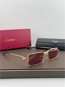 Очки CARTIER 186250