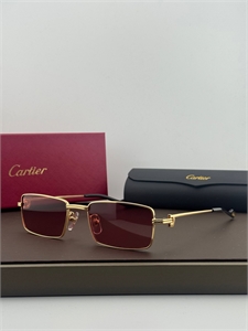 Очки CARTIER 186250