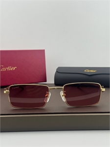 Очки CARTIER 186250