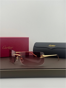 Очки CARTIER 186251