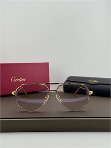 Очки CARTIER 186257